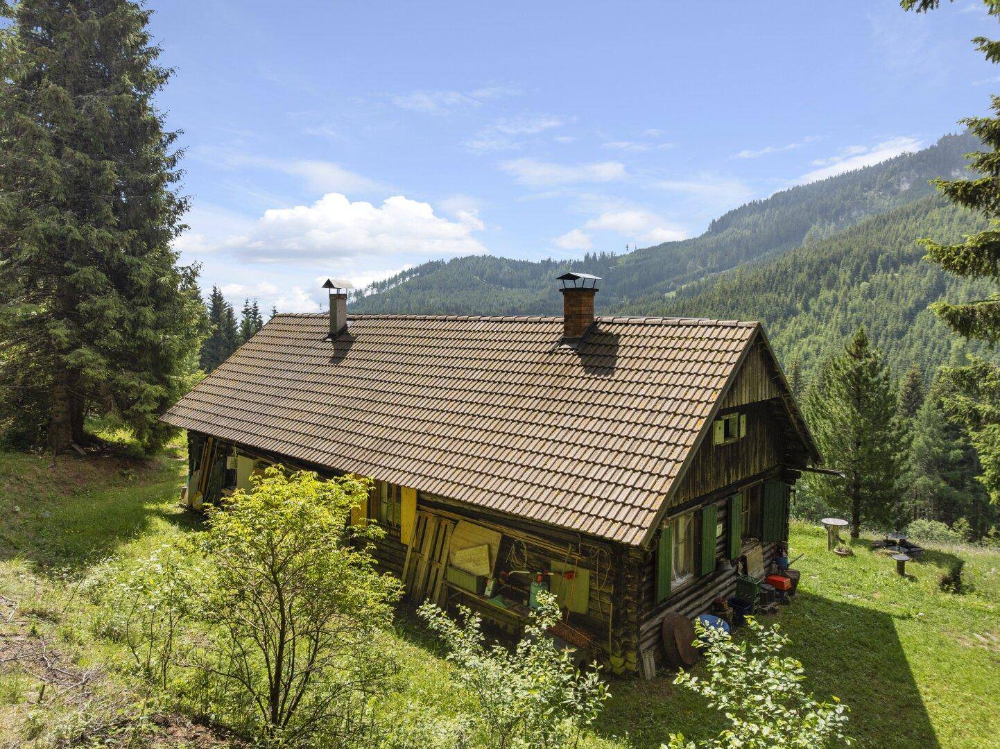 Gemütliche Holzhütte mit Satteldach und zwei Schornsteinen, umgeben von alpiner Landschaft.
