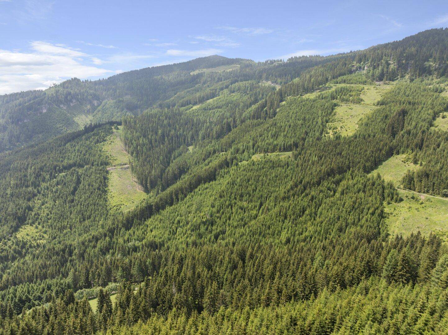 Grüne Berglandschaft mit bewaldeten Hängen und Lichtungen unter einem klaren Himmel.