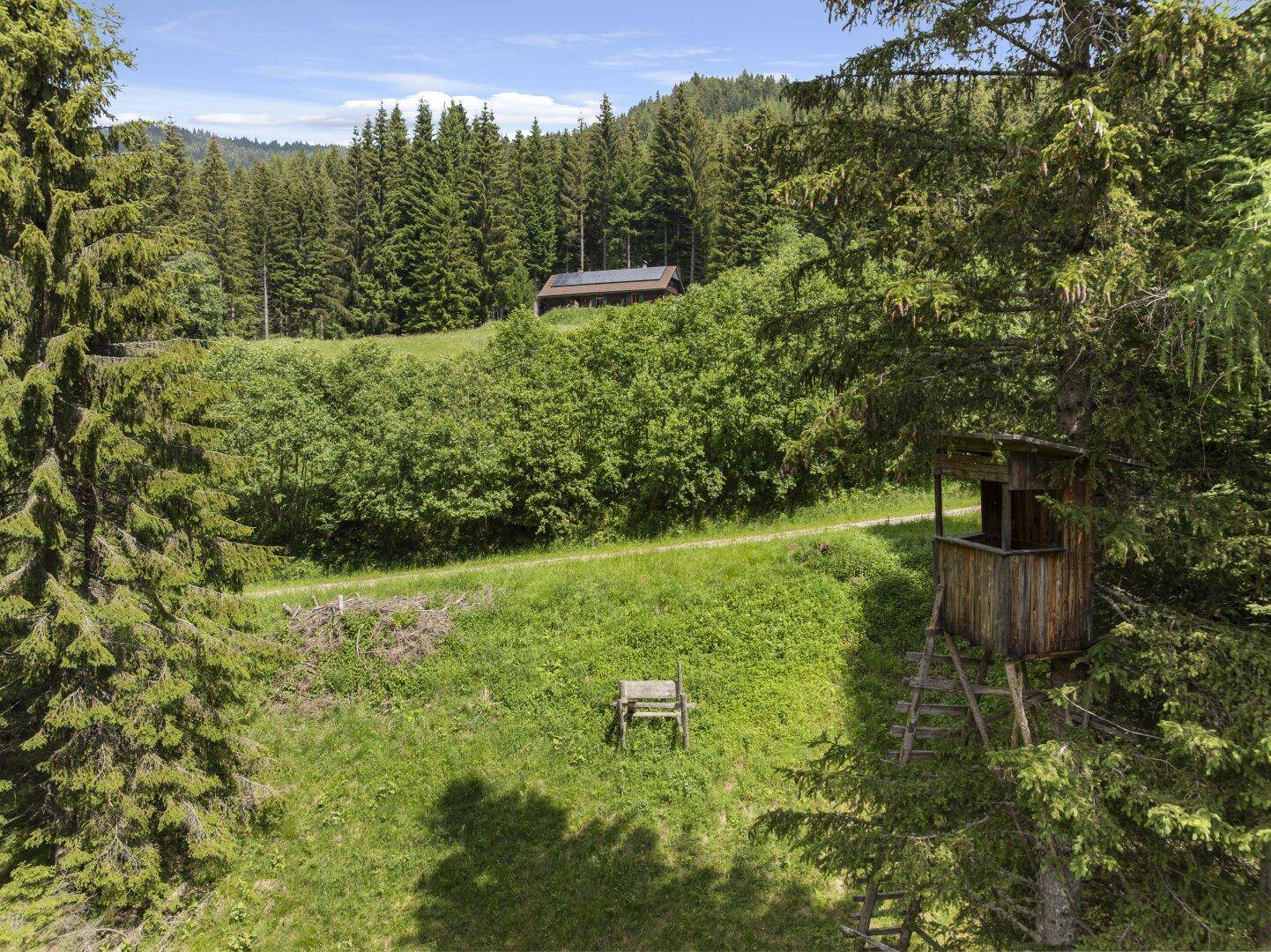 Rustikaler Hochstand in einer Waldlichtung mit Blick auf eine Hütte im Hintergrund.