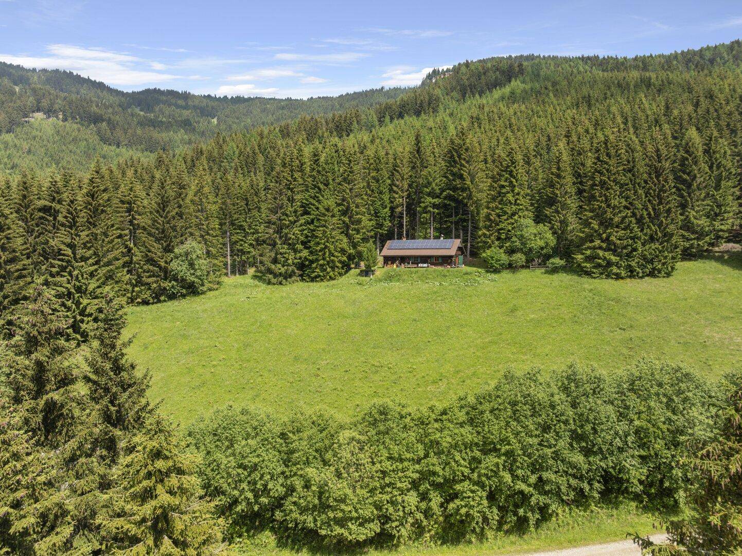 Gemütliche Holzhütte auf einer grünen Wiese, umgeben von dichtem Nadelwald.