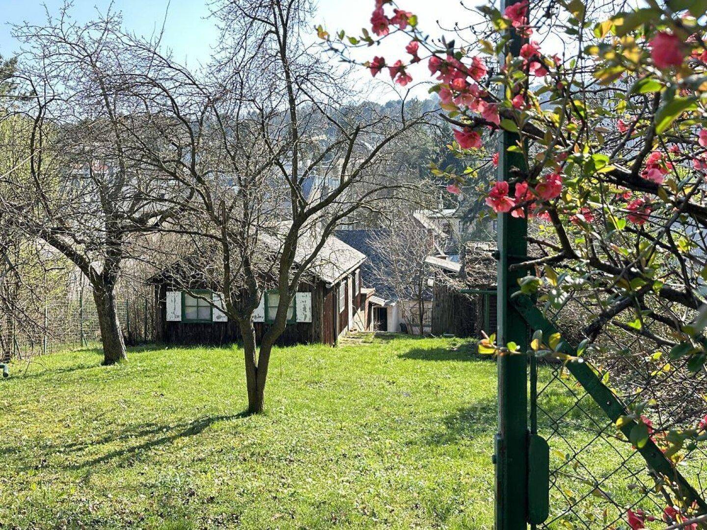 CHARMANTES GRUNDSTÜCK MIT ALTBESTAND AM FUSSE DER WEINBERGE - Ansicht 3