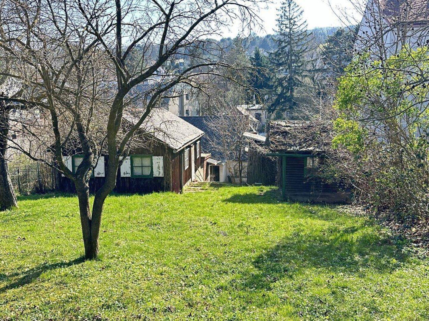 CHARMANTES GRUNDSTÜCK MIT ALTBESTAND AM FUSSE DER WEINBERGE - Ansicht 4
