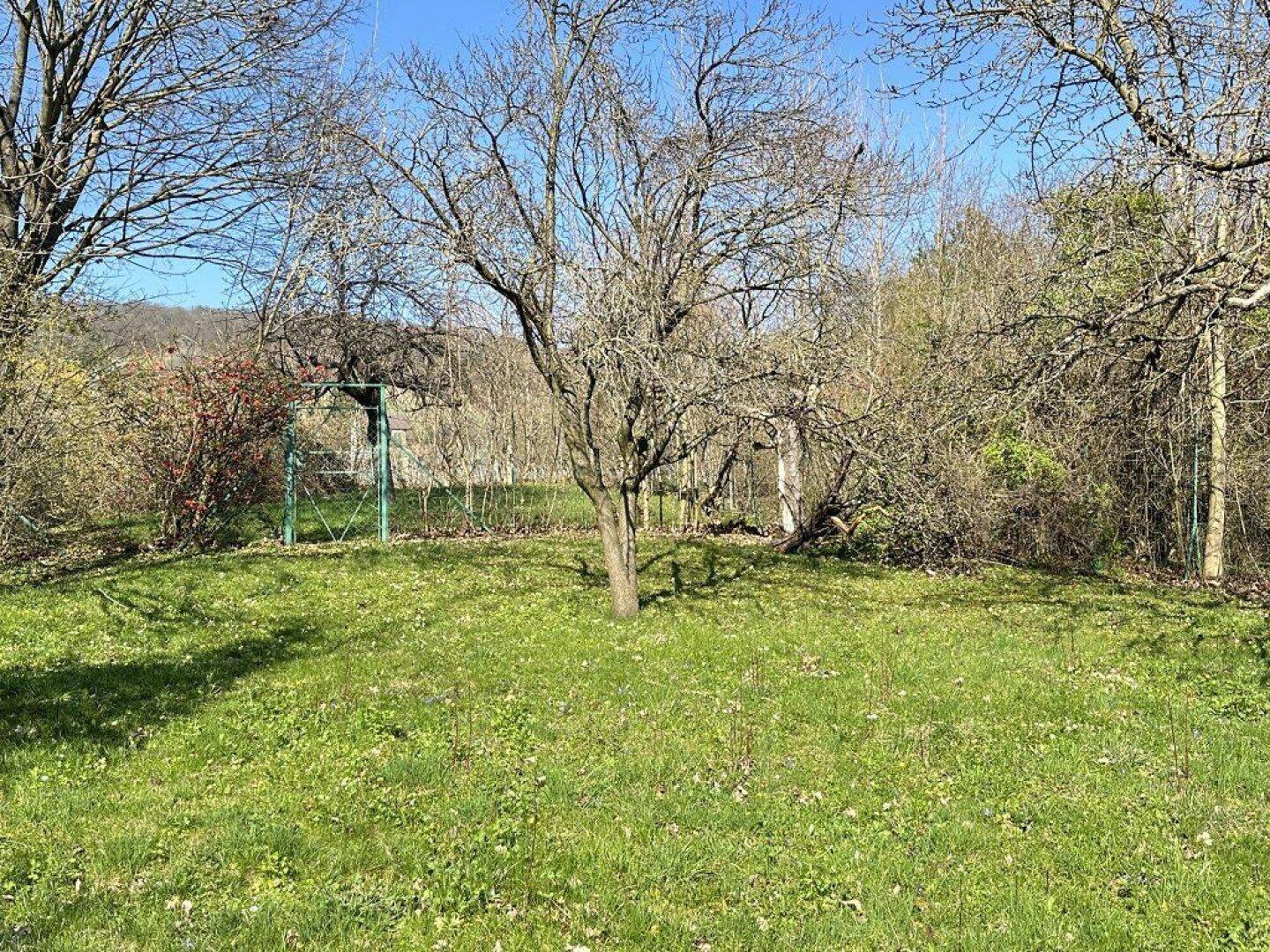 CHARMANTES GRUNDSTÜCK MIT ALTBESTAND AM FUSSE DER WEINBERGE - Mehr