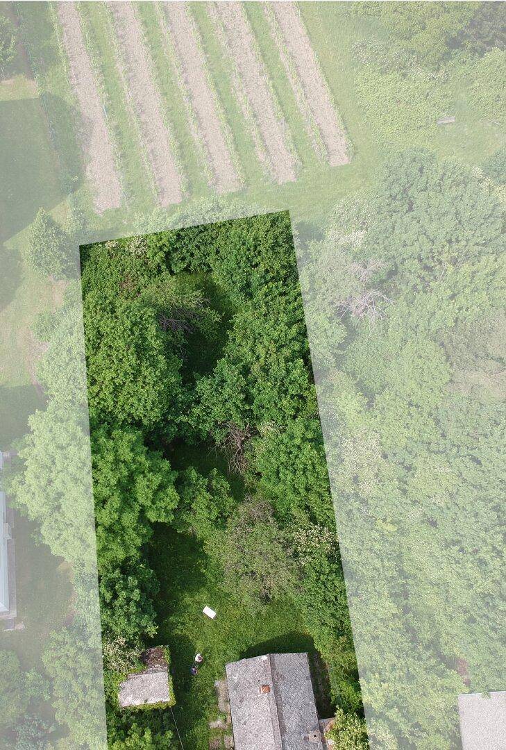 CHARMANTES GRUNDSTÜCK MIT ALTBESTAND AM FUSSE DER WEINBERGE - Ansicht 2