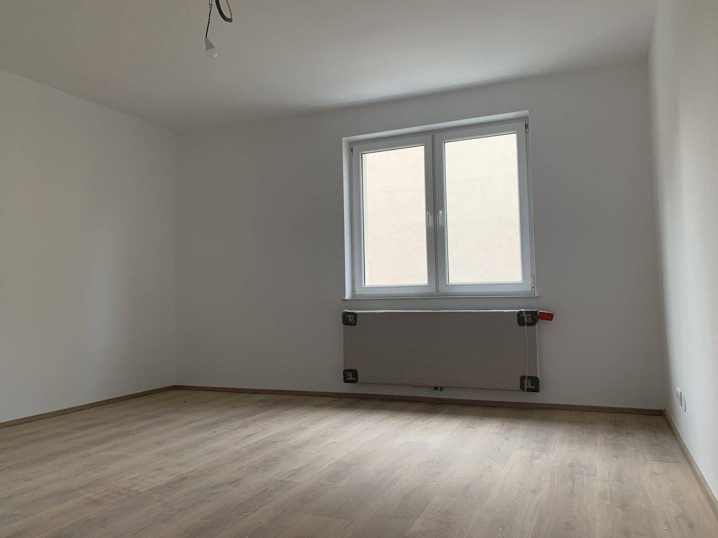 Lichtdurchfluteter Raum mit großem Fenster und modernem Laminatboden, bereit zur Einrichtung.