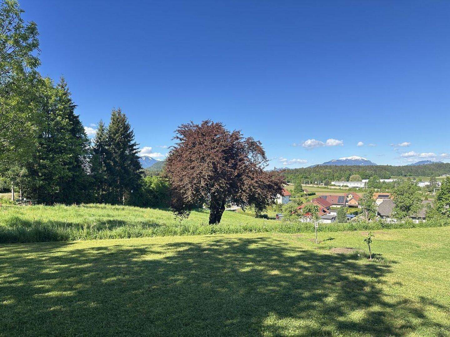 Weitläufiger Blick über grüne Wiesen, Bäume und eine Siedlung mit Bergen im Hintergrund.