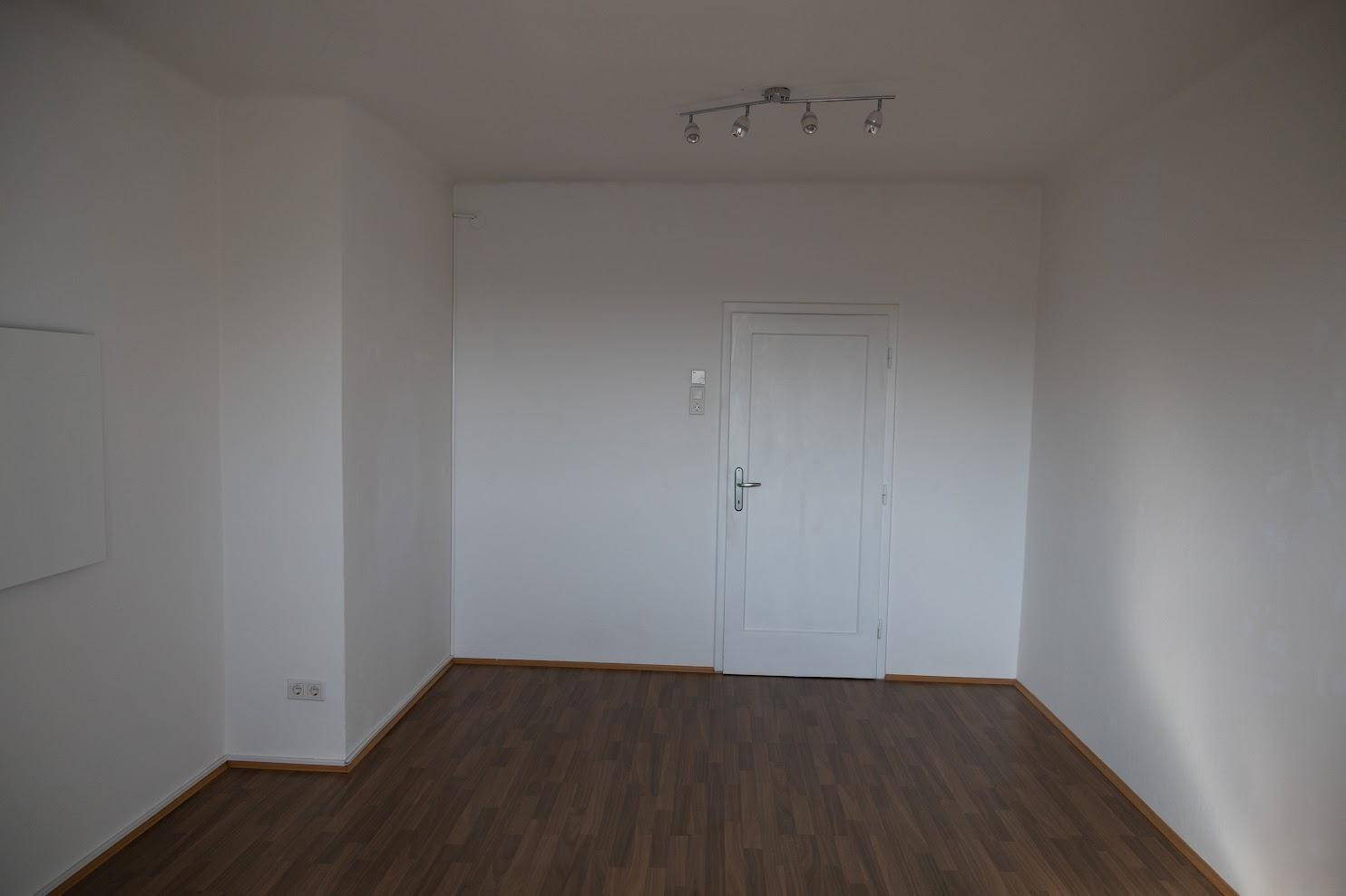 Leerer Raum mit Holzboden, einer weißen Tür und einer Deckenleuchte, bereit zur Einrichtung.