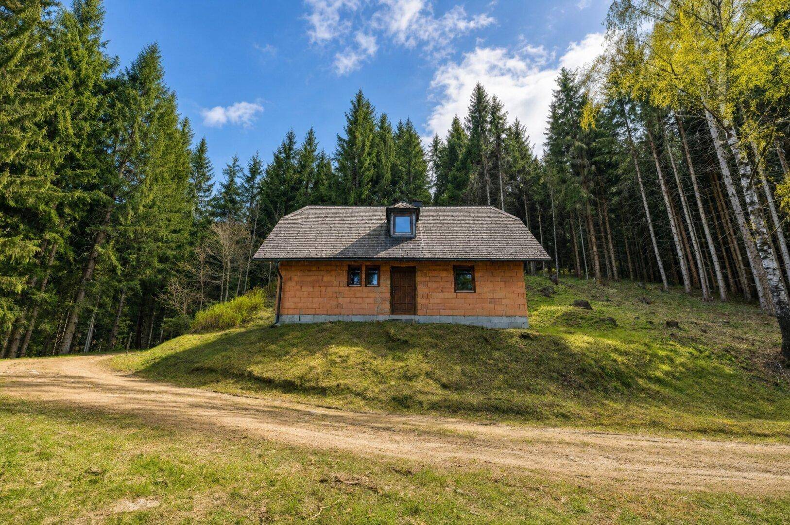 Almhütte in absoluter Alleinlage | Eigenwald &amp; eigene Quelle | Stubalpe - Ansicht 3