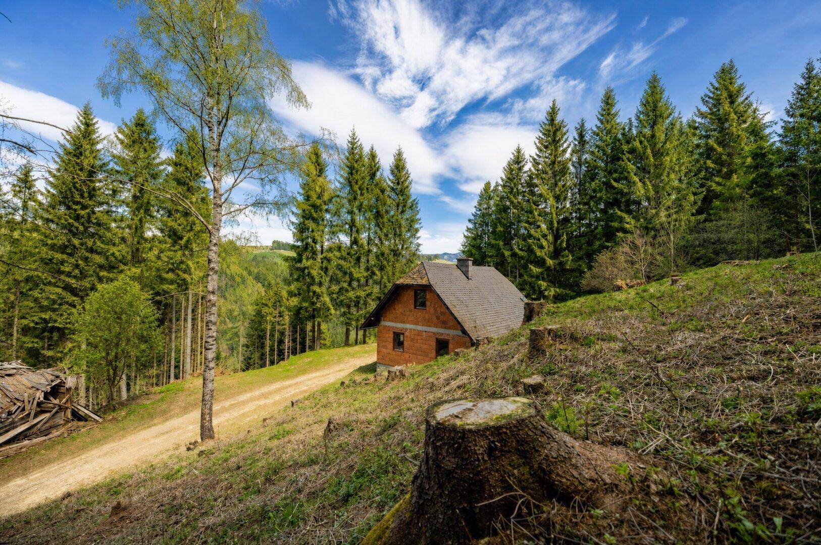Almhütte in absoluter Alleinlage | Eigenwald &amp; eigene Quelle | Stubalpe - Ansicht 6