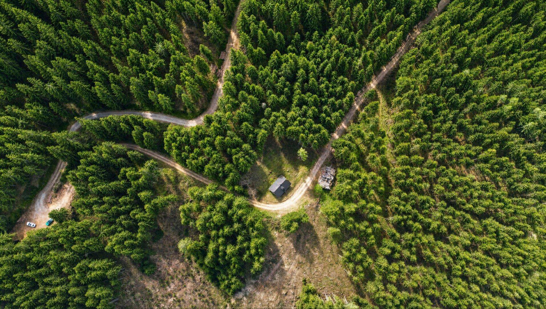 Almhütte in absoluter Alleinlage | Eigenwald &amp; eigene Quelle | Stubalpe - Mehr
