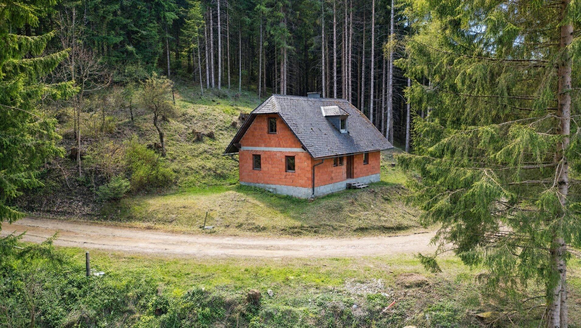 Almhütte in absoluter Alleinlage | Eigenwald &amp; eigene Quelle | Stubalpe - Ansicht 5