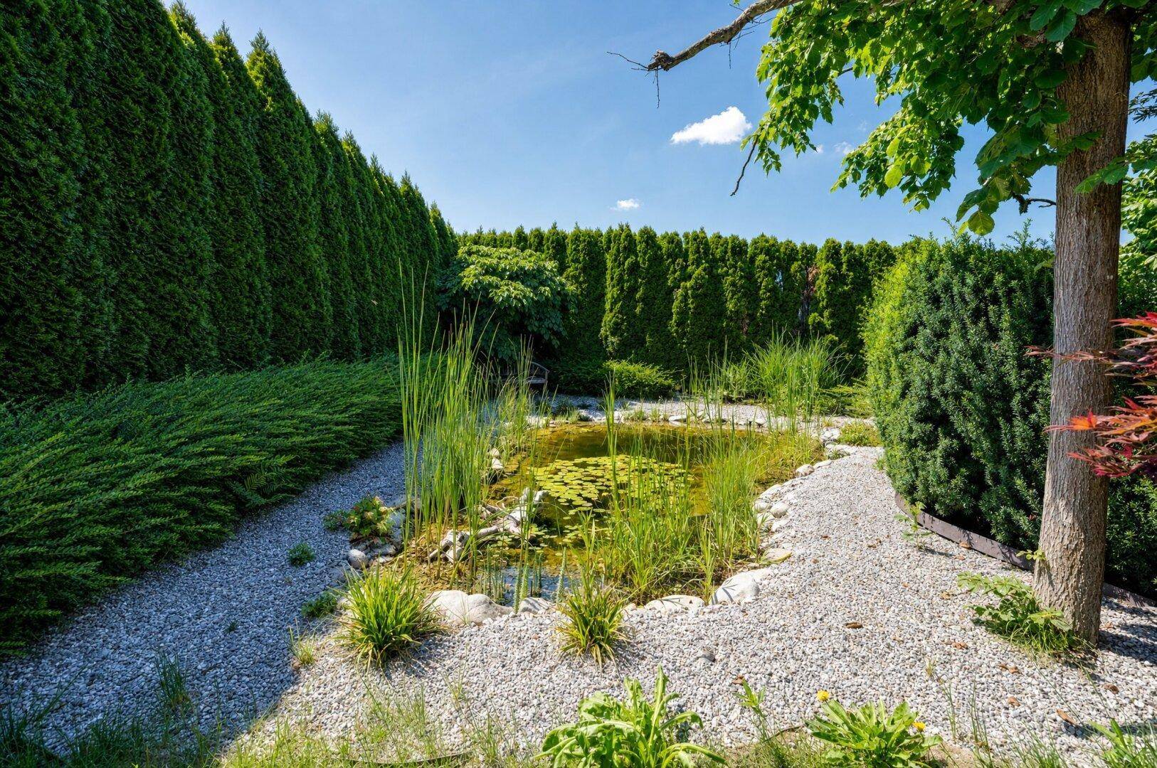 Idyllischer Gartenteich umgeben von Kieswegen und hohen, dichten Hecken für Privatsphäre.