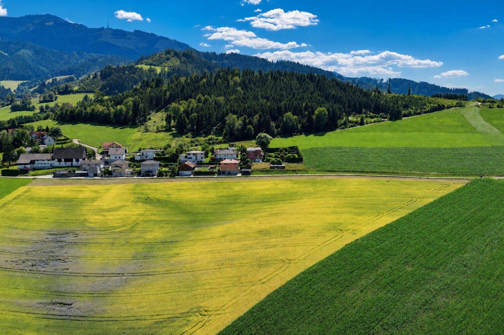 Panoramablick aus der Luft auf eine ländliche Gegend mit Feldern, Wald und einem kleinen Dorf.