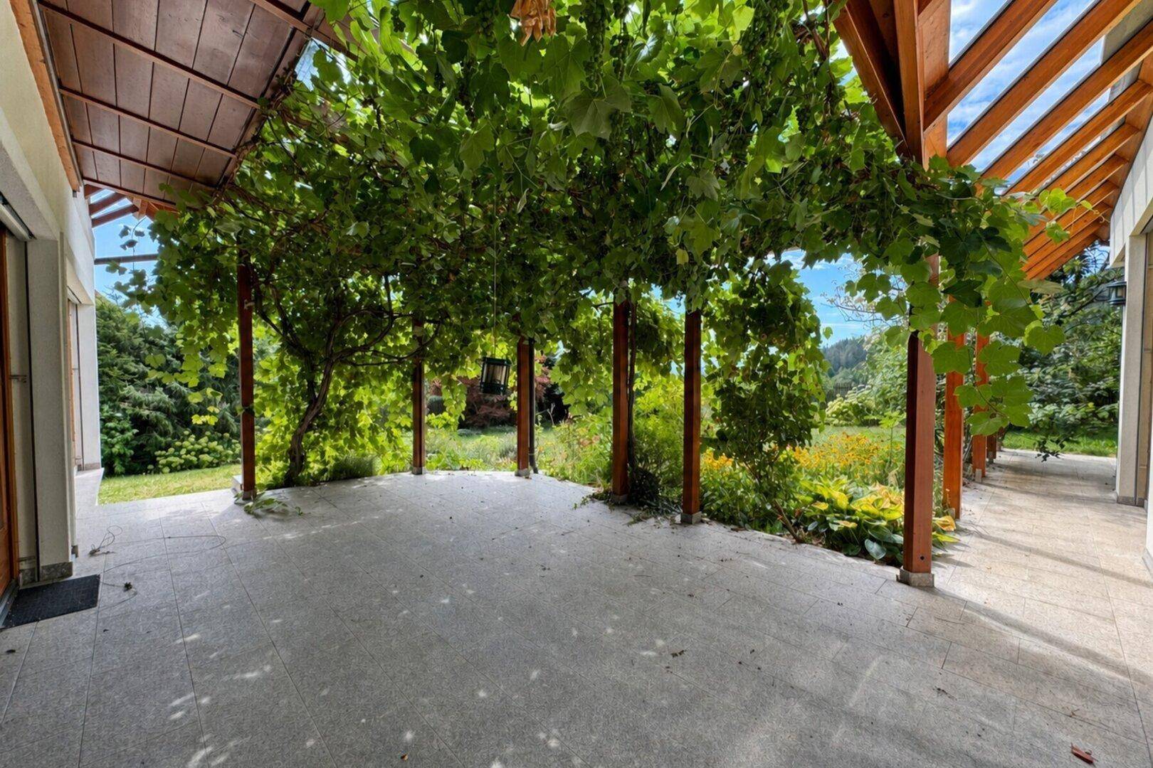 Überdachte Terrasse mit Steinboden und üppigem Weinlaub, ideal für entspannte Stunden im Freien.