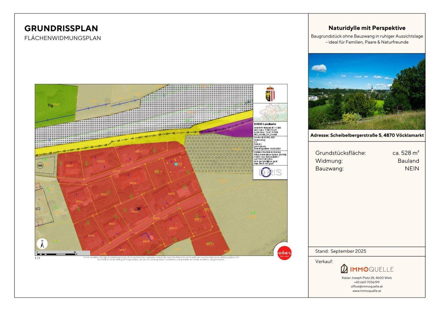 Slide 7