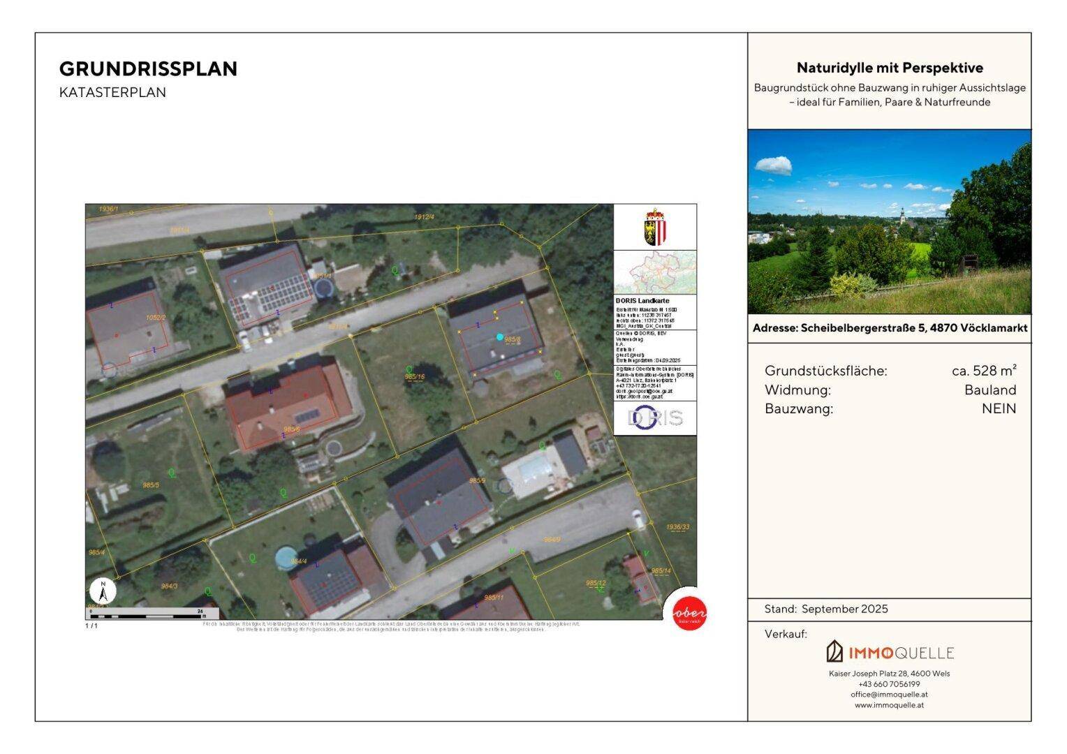 Slide 8