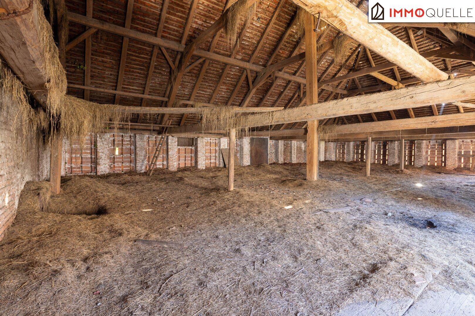 Großer Scheunenraum mit sichtbaren Holzbalken und viel Platz für verschiedene Nutzungen.