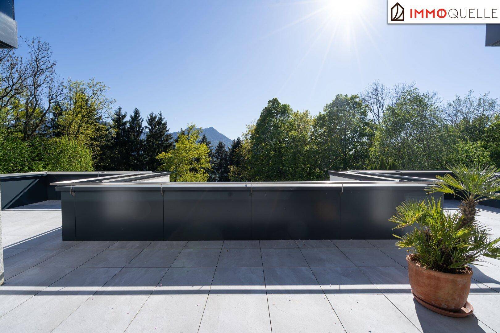 Weitläufige Terrasse mit Bergblick und einem Topf mit Palmen.