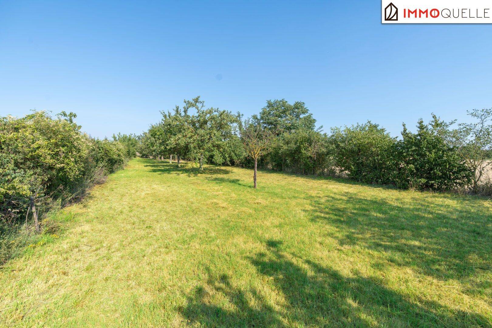 Weitläufiger Gartenbereich mit zahlreichen Obstbäumen und gepflegter Rasenfläche.