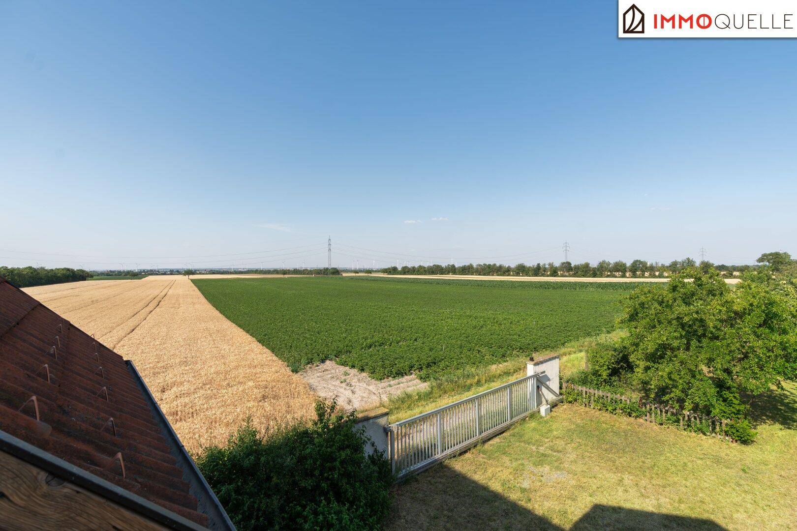 Weitläufiger Blick über grüne und goldene Felder unter einem klaren blauen Himmel.