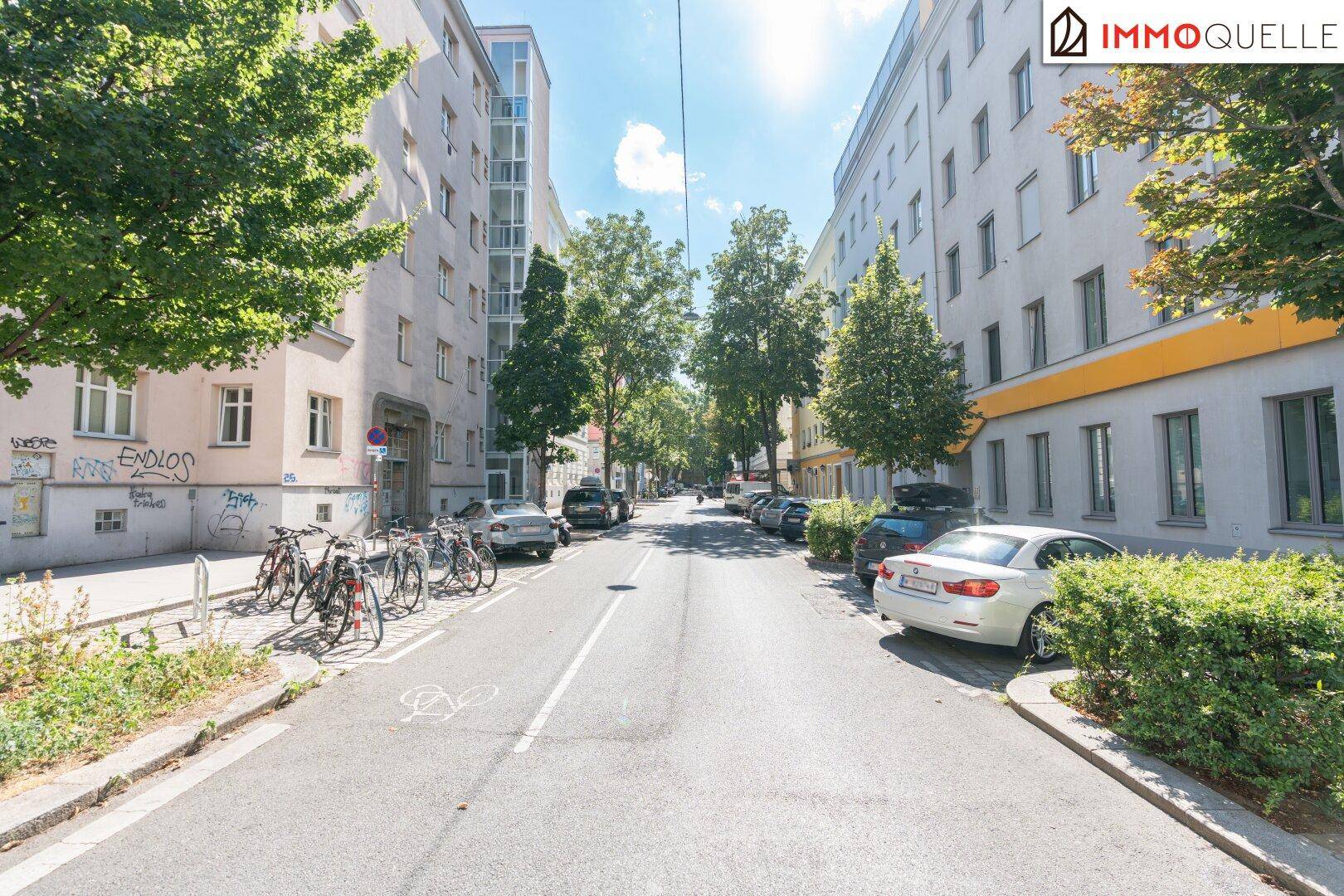 Ruhige Wohnstraße mit Bäumen, parkenden Fahrzeugen und Gebäuden an einem sonnigen Tag.