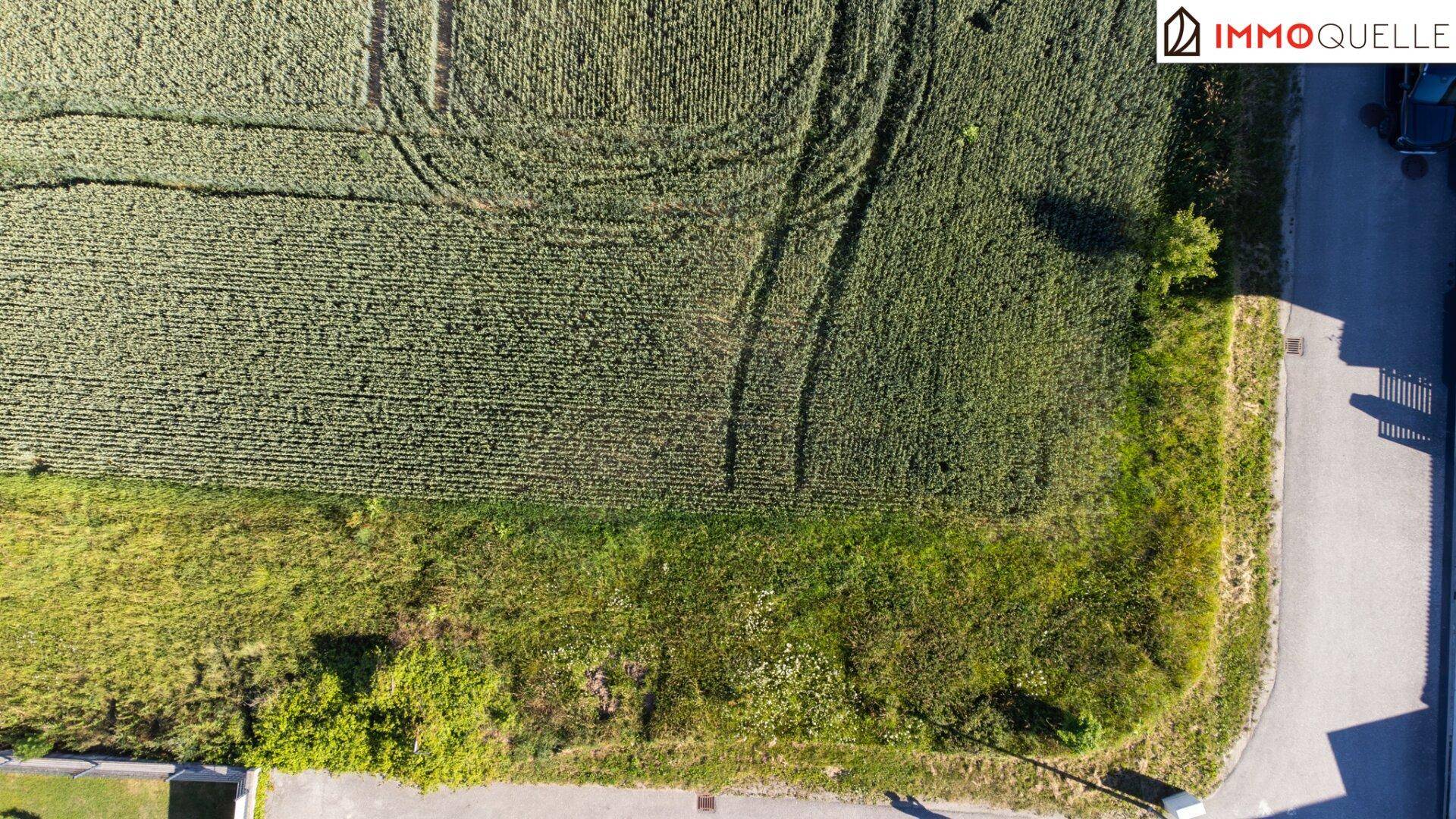 Wo Ruhe Raum für Zukunft schafft! 839 m² Baugrund in ruhiger Grünlage - familienfreundlich, wertstabil und bereit für Ihr neues Zuhause - Ansicht 6