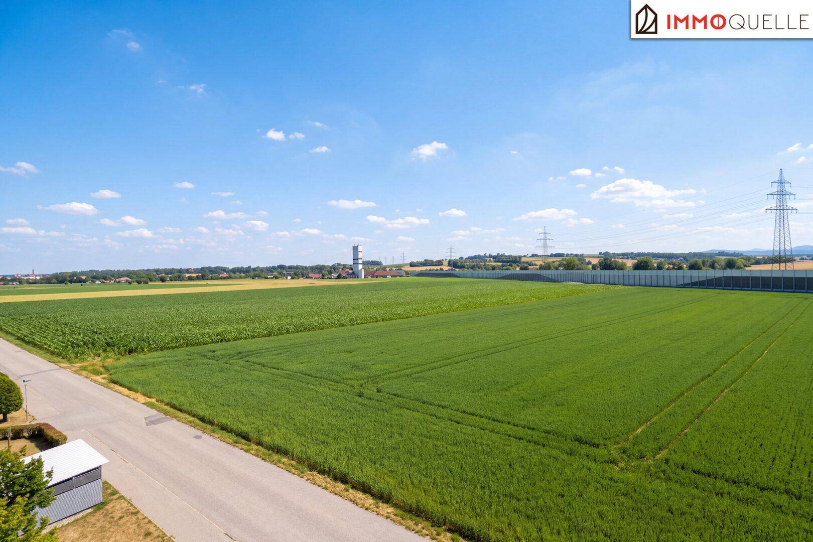 Weitläufige Luftaufnahme der grünen Felder und der ländlichen Umgebung unter blauem Himmel.