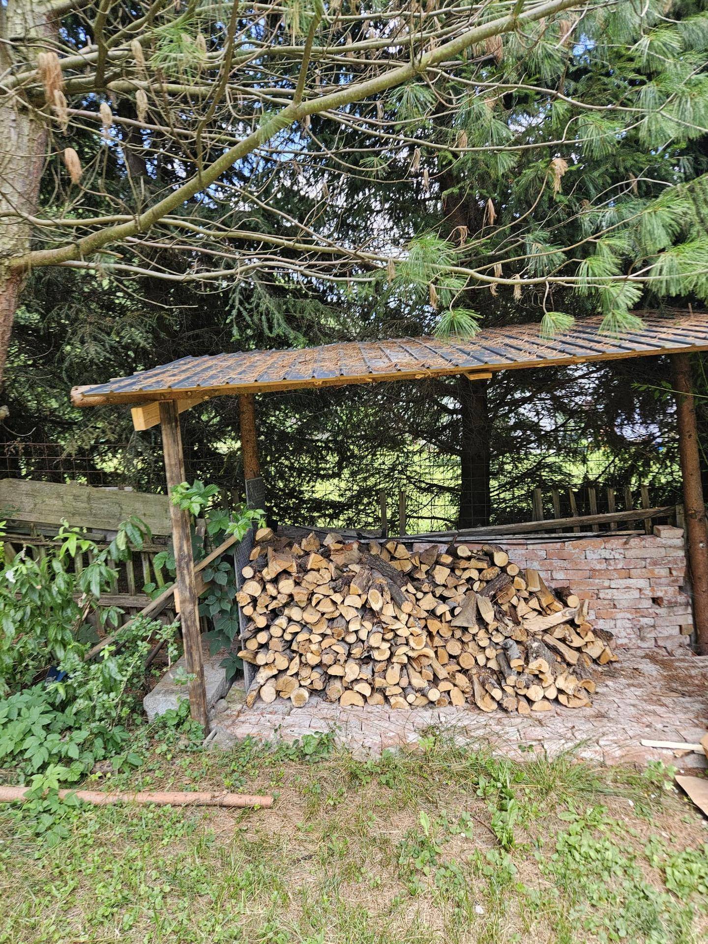 Großer Holzstapel unter einem rustikalen Unterstand im Garten, umgeben von Bäumen und Grünflächen.
