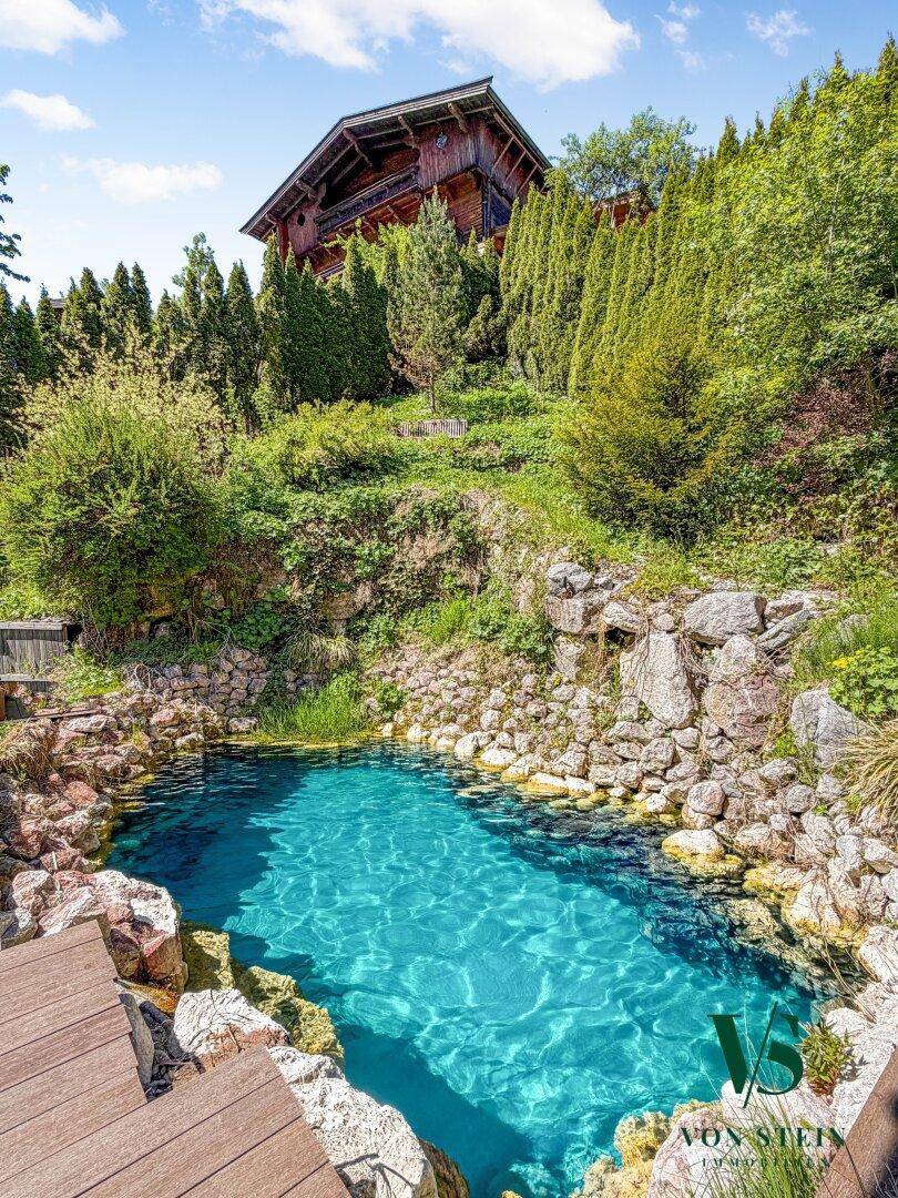 Natürlicher Schwimmteich mit Felsen und üppiger Vegetation vor dem Holzhaus.