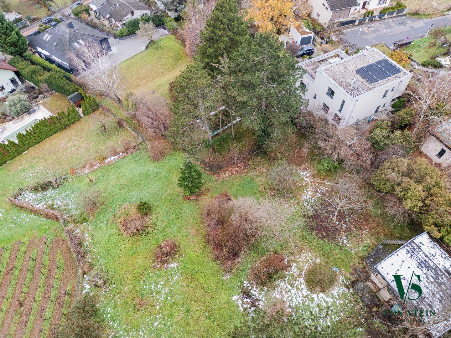 Großes grünes Gartengrundstück mit Bäumen und leichter Schneedecke, umgeben von Wohnhäusern und Weinreben.