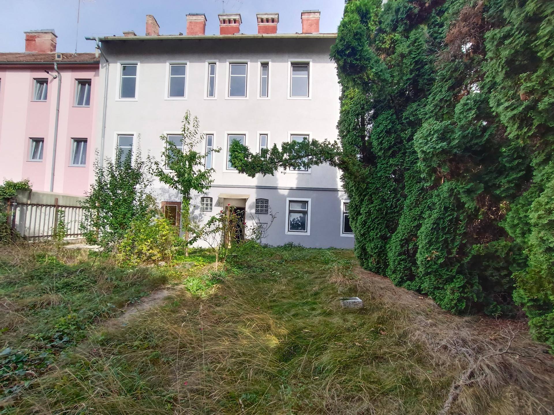 Rückansicht des Gebäudes mit einem verwilderten Gartenbereich und hohen Bäumen.