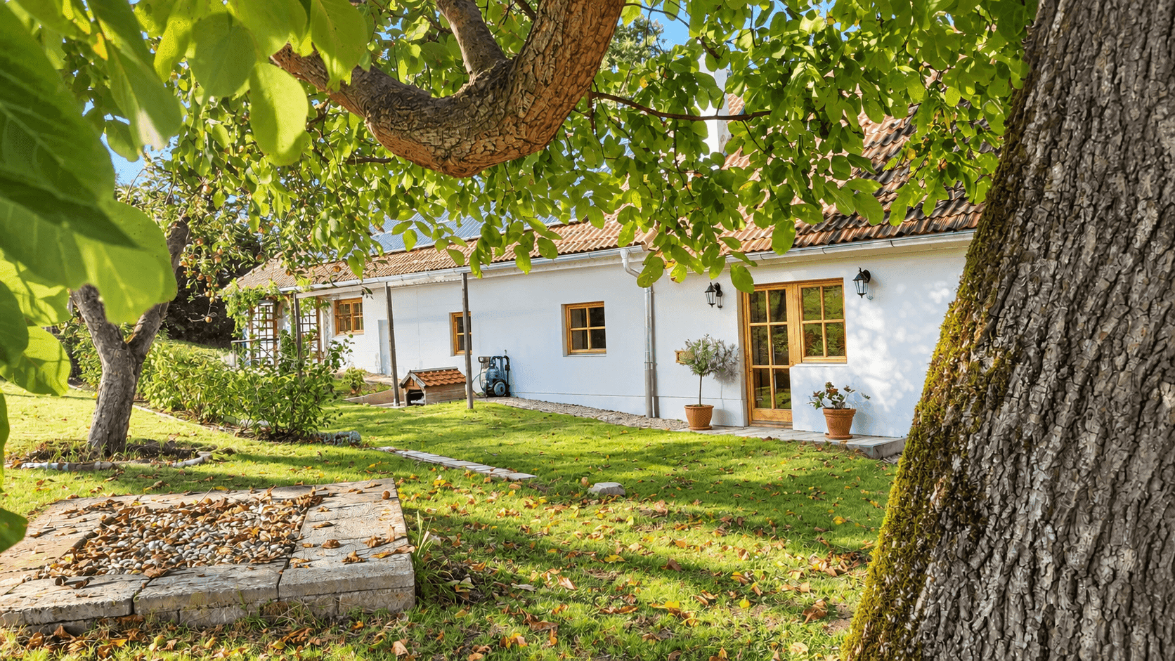 Weißes Landhaus mit roten Ziegeldach und Holztüren, umgeben von einem grünen Garten mit altem Baumbestand.