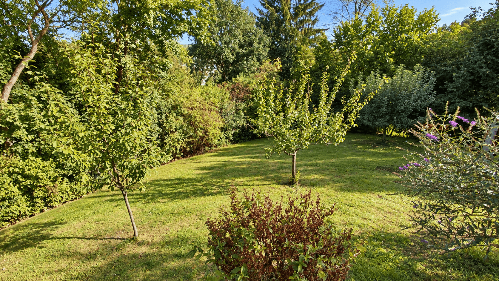 Üppiger, grüner Garten mit dichtem Baumbestand und Sträuchern, der eine private und natürliche Atmosphäre schafft.