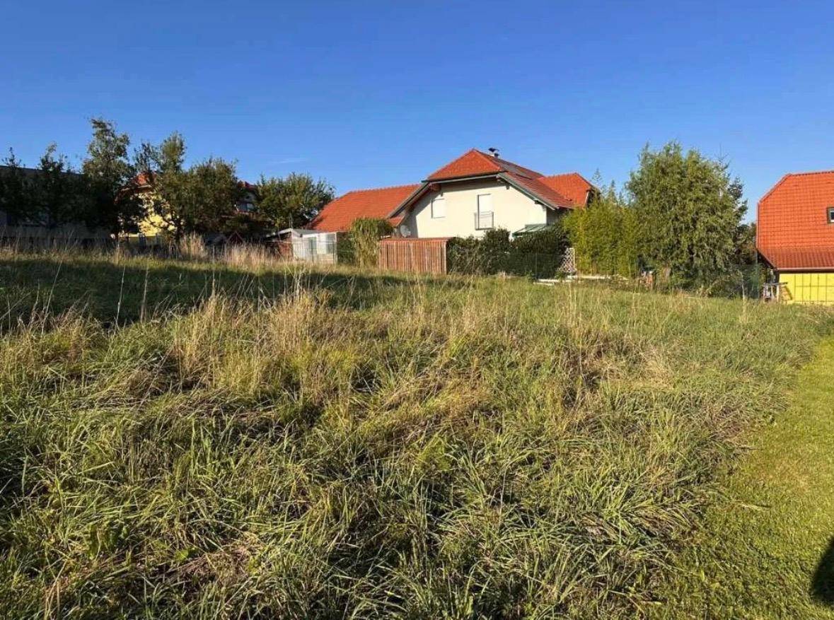 Weitläufiges, grünes Grundstück in einer ruhigen Wohngegend mit Blick auf Nachbarhäuser.