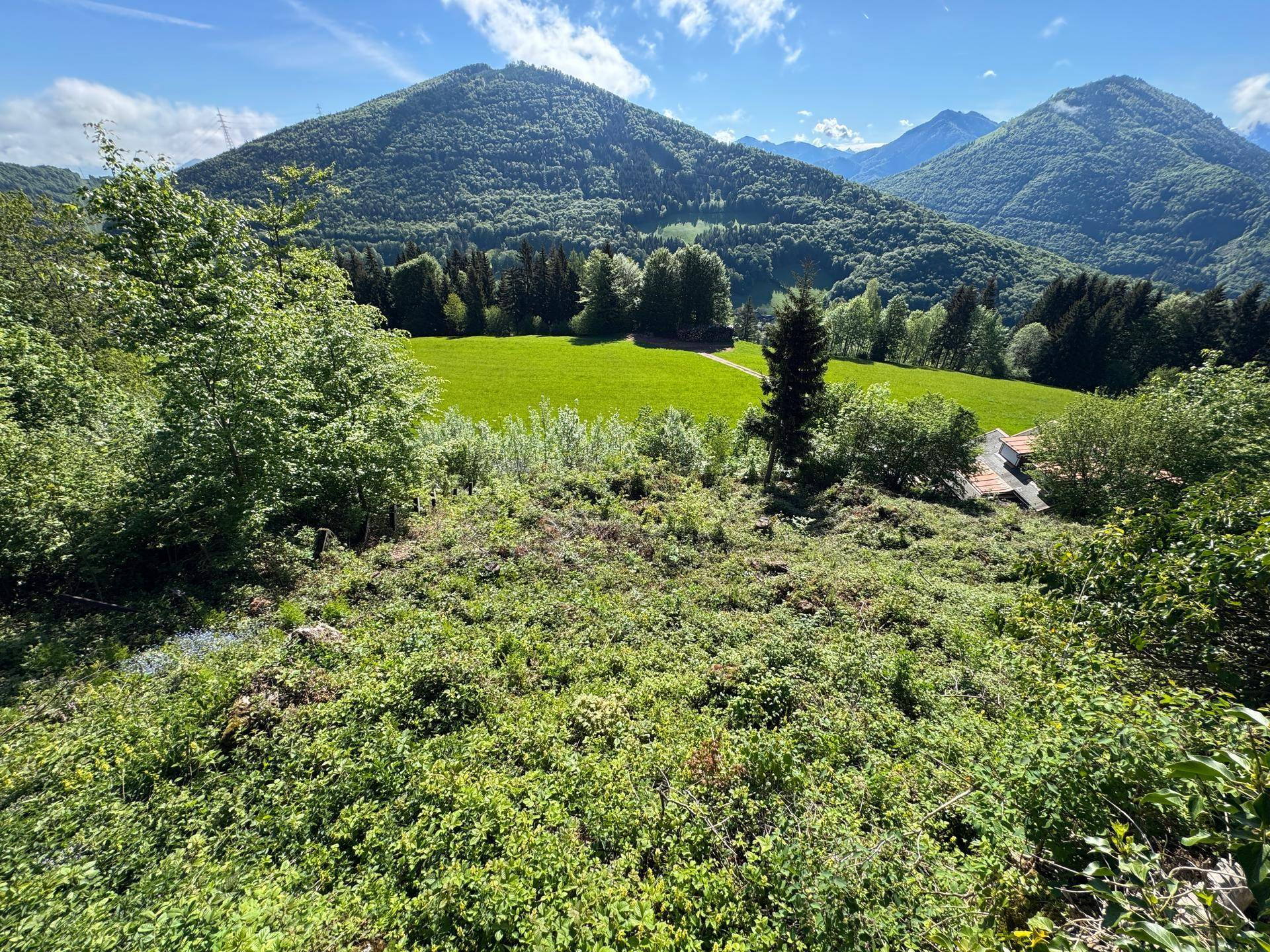 Weitläufige grüne Landschaft mit sanften Hügeln und Bergen unter strahlend blauem Himmel.