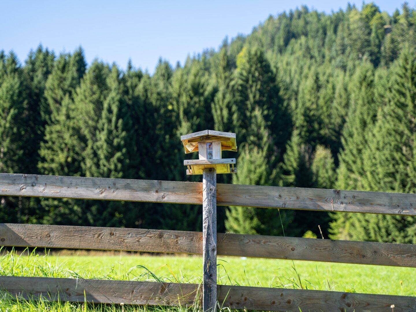 Lage in der Natur