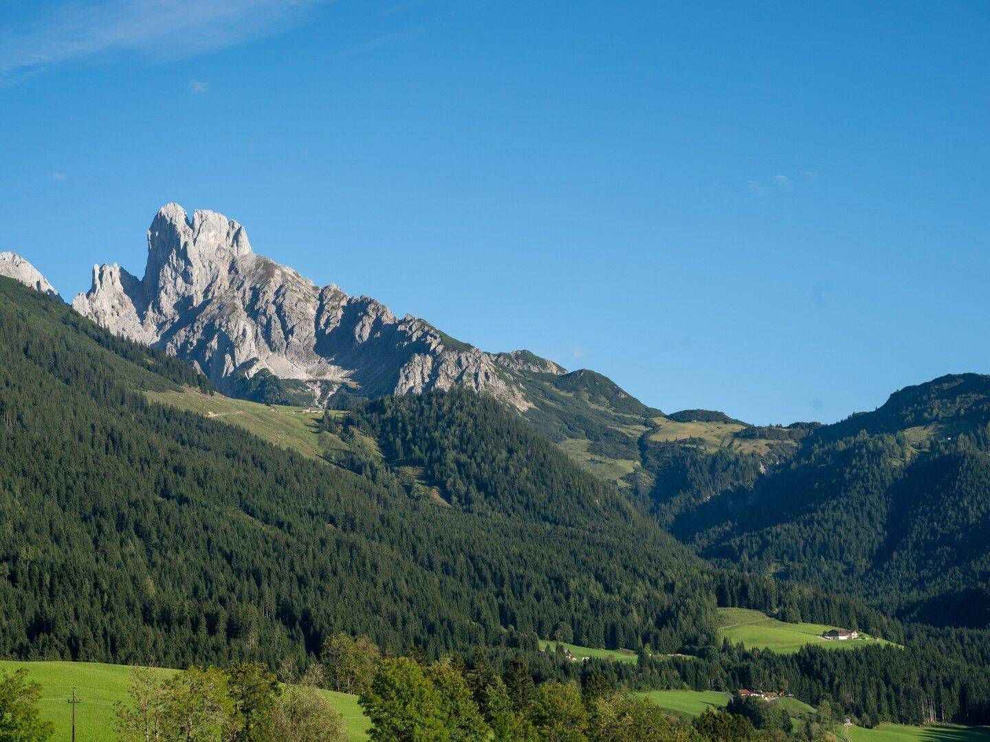 Bischofsmütze