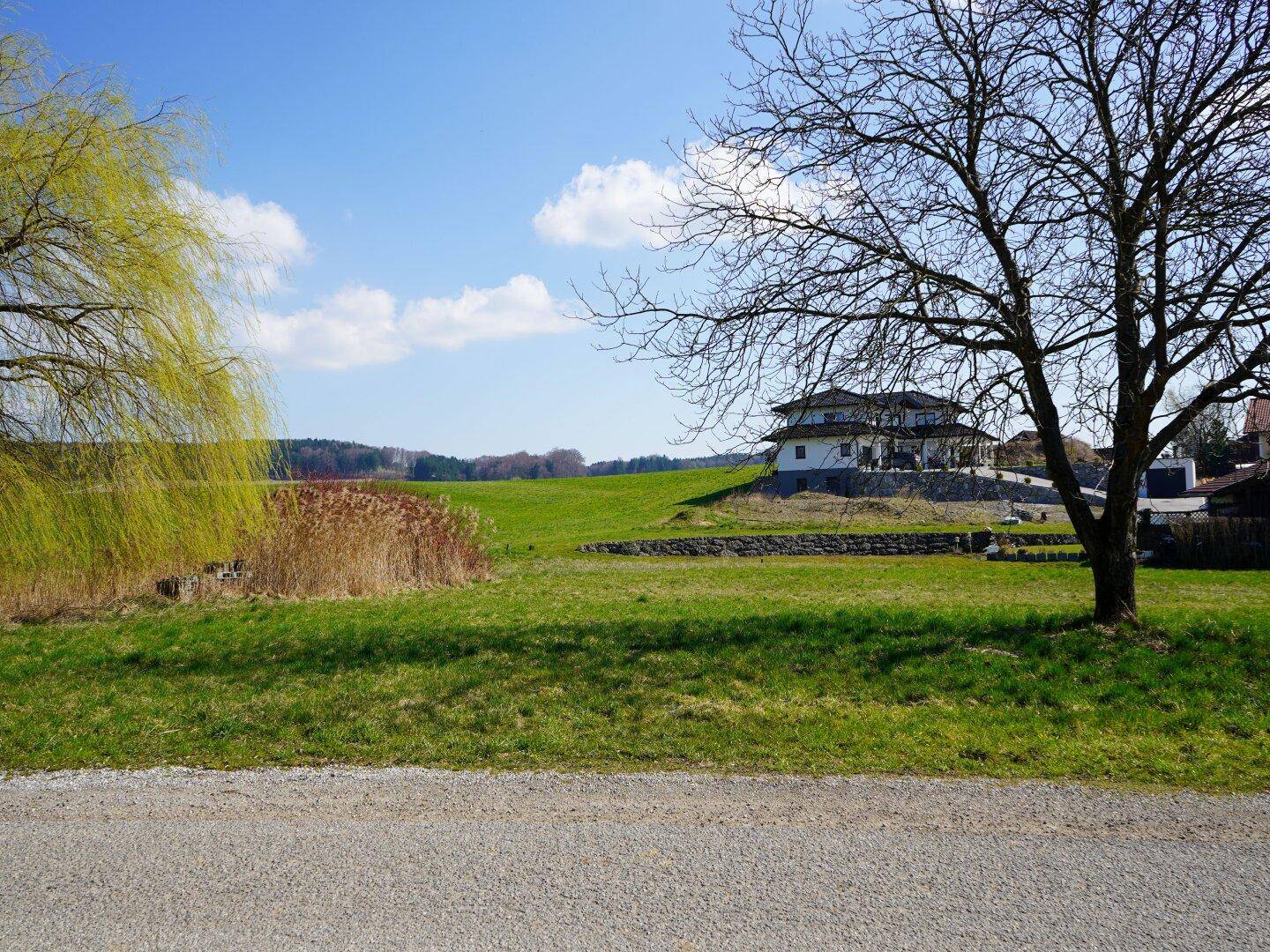 Weitläufige grüne Landschaft mit einem Haus im Hintergrund und einer Schotterstraße im Vordergrund.