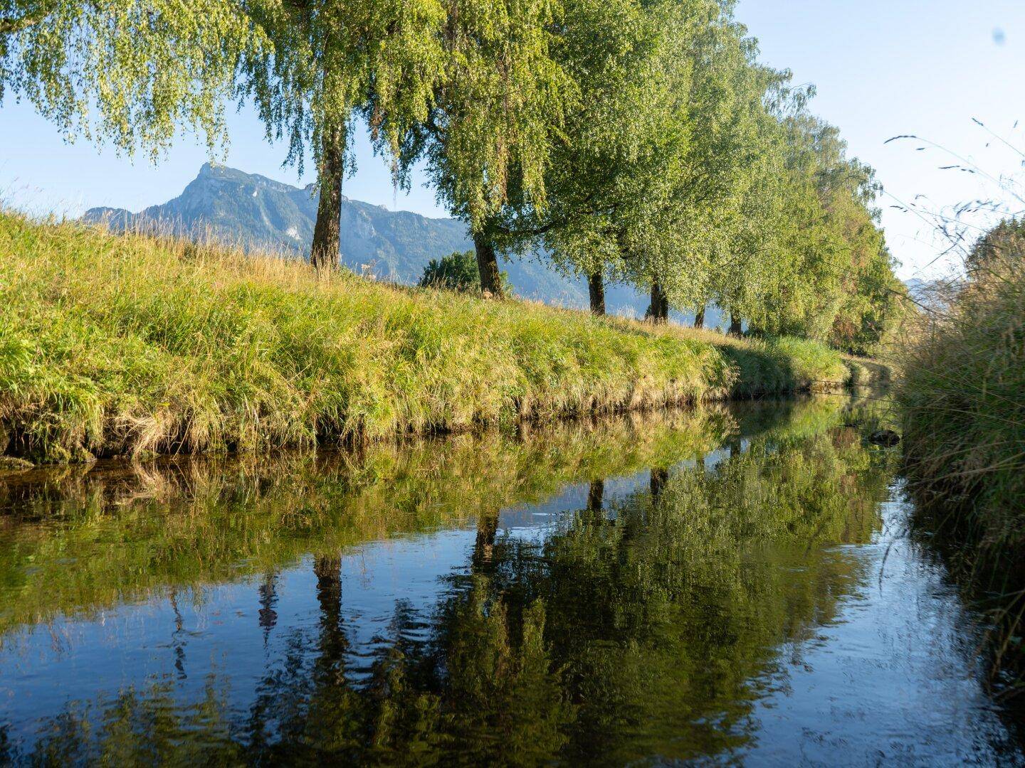 Idyllische Flusslandschaft mit grünen Bäumen, Wiesen und Bergen im Hintergrund unter blauem Himmel.