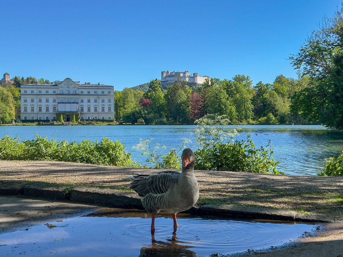 In der Nähe des Leopldskroner Weiher