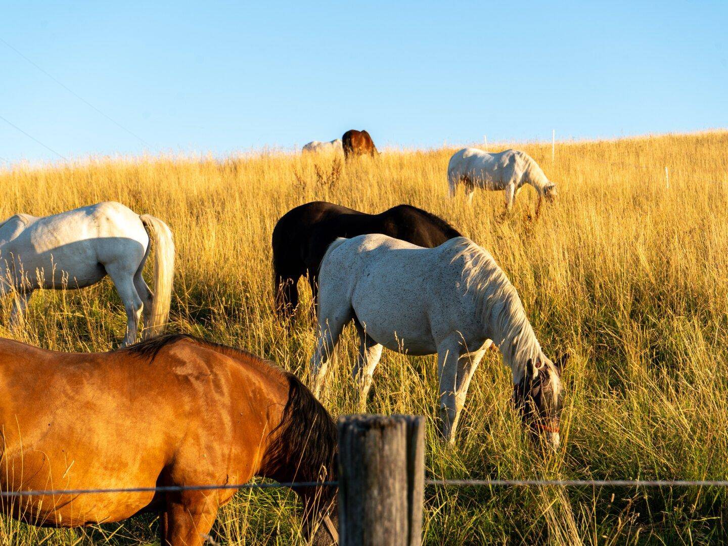 Umgeben von Landwirtschaften und Natur