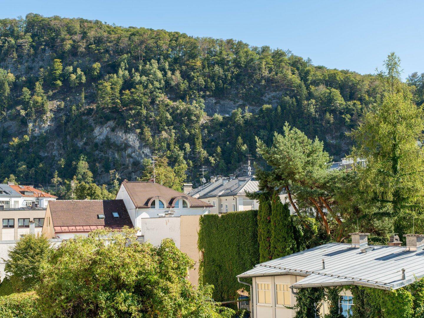 Panoramablick auf die bewaldeten Hügel und die Dächer der umliegenden Häuser.