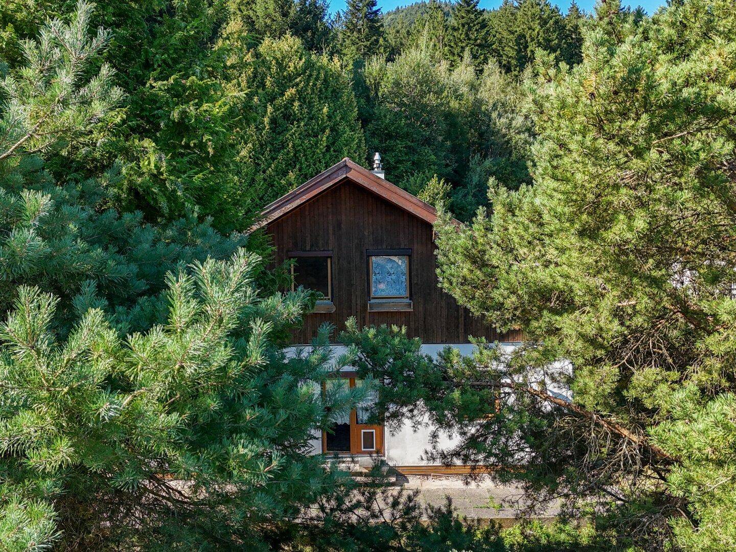 Einfamilienhaus mit Holzfassade, umgeben von dichtem Wald und hohen Bäumen in der Natur.