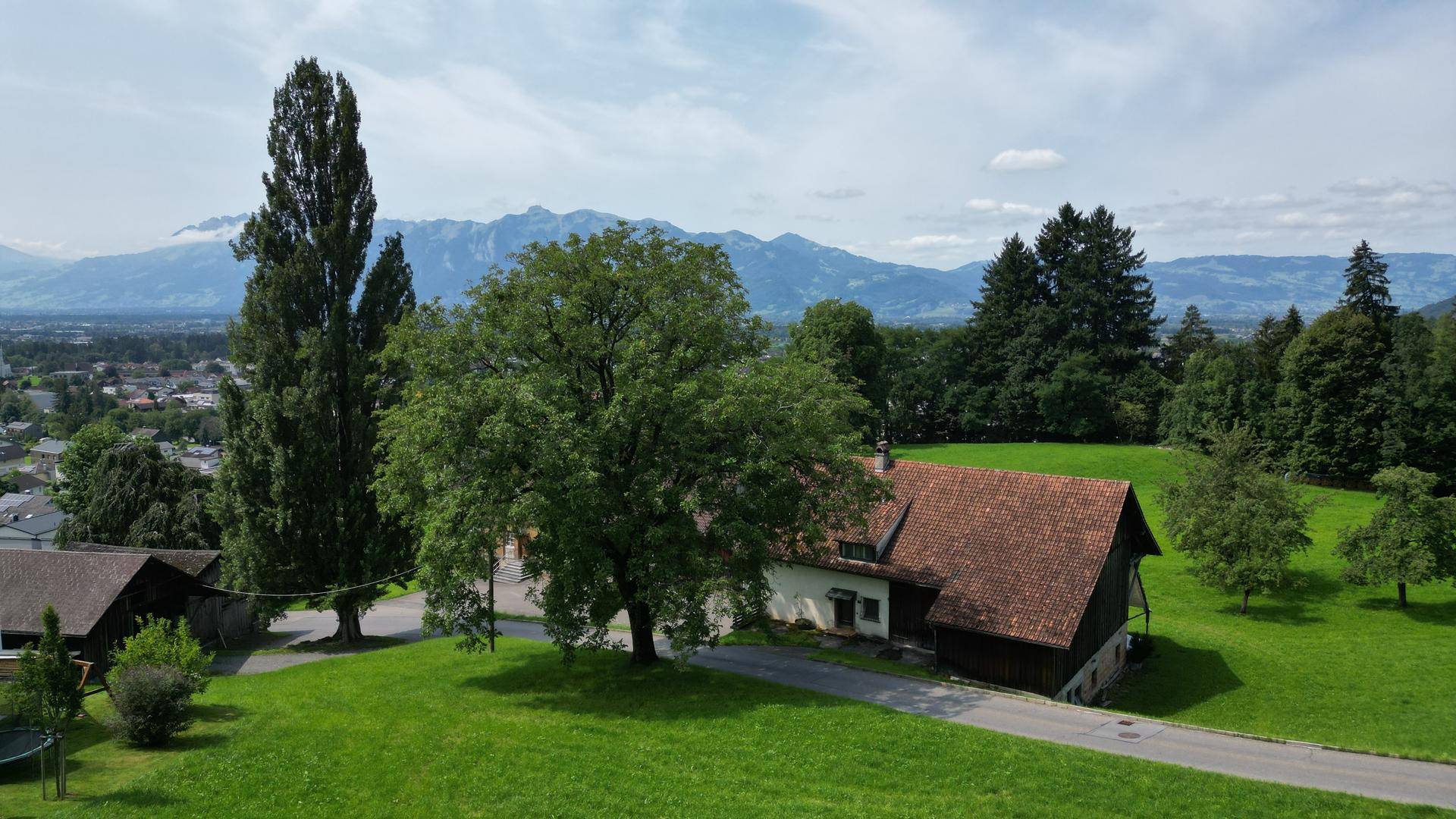 DJI_0209