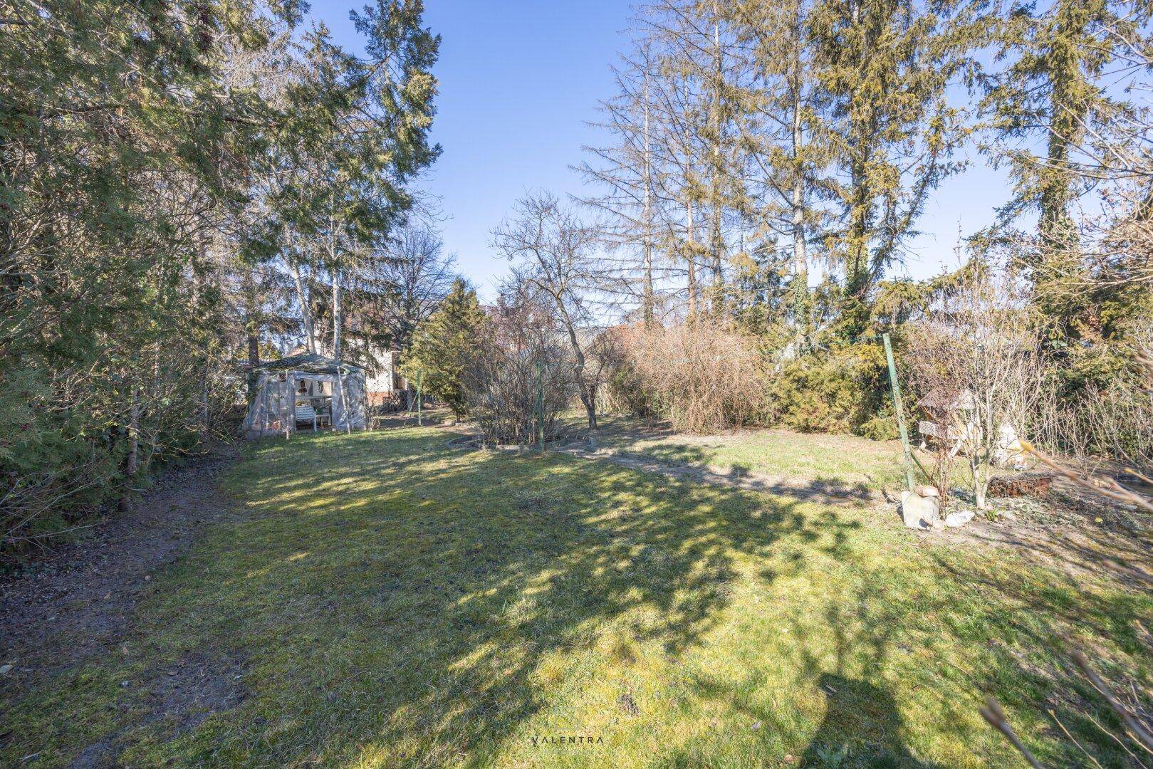 Sonniger Garten mit gepflegtem Rasen, hohen Bäumen und einem kleinen Gartenhäuschen am Rand.
