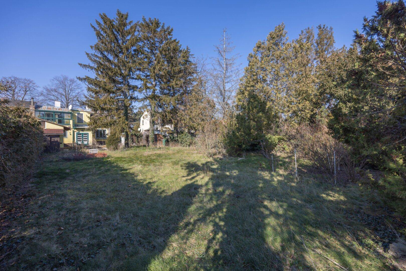 Großer, sonniger Gartenbereich mit altem Baumbestand und Blick auf das Haus.