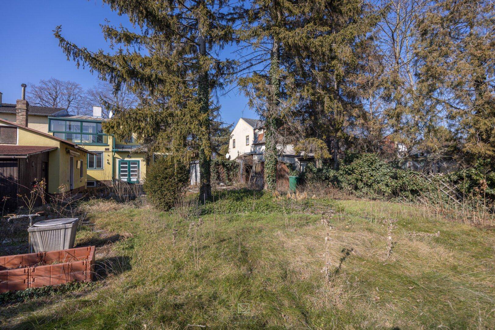 Verwilderter Garten mit hohen Bäumen und Blick auf die Rückseite des Hauses.