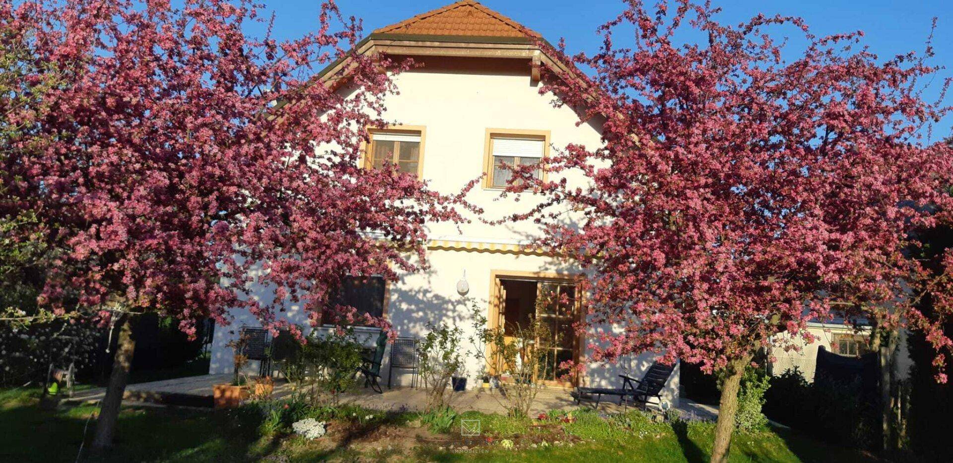 Charmantes Haus mit blühenden Bäumen und gepflegtem Vorgarten an einem sonnigen Tag.