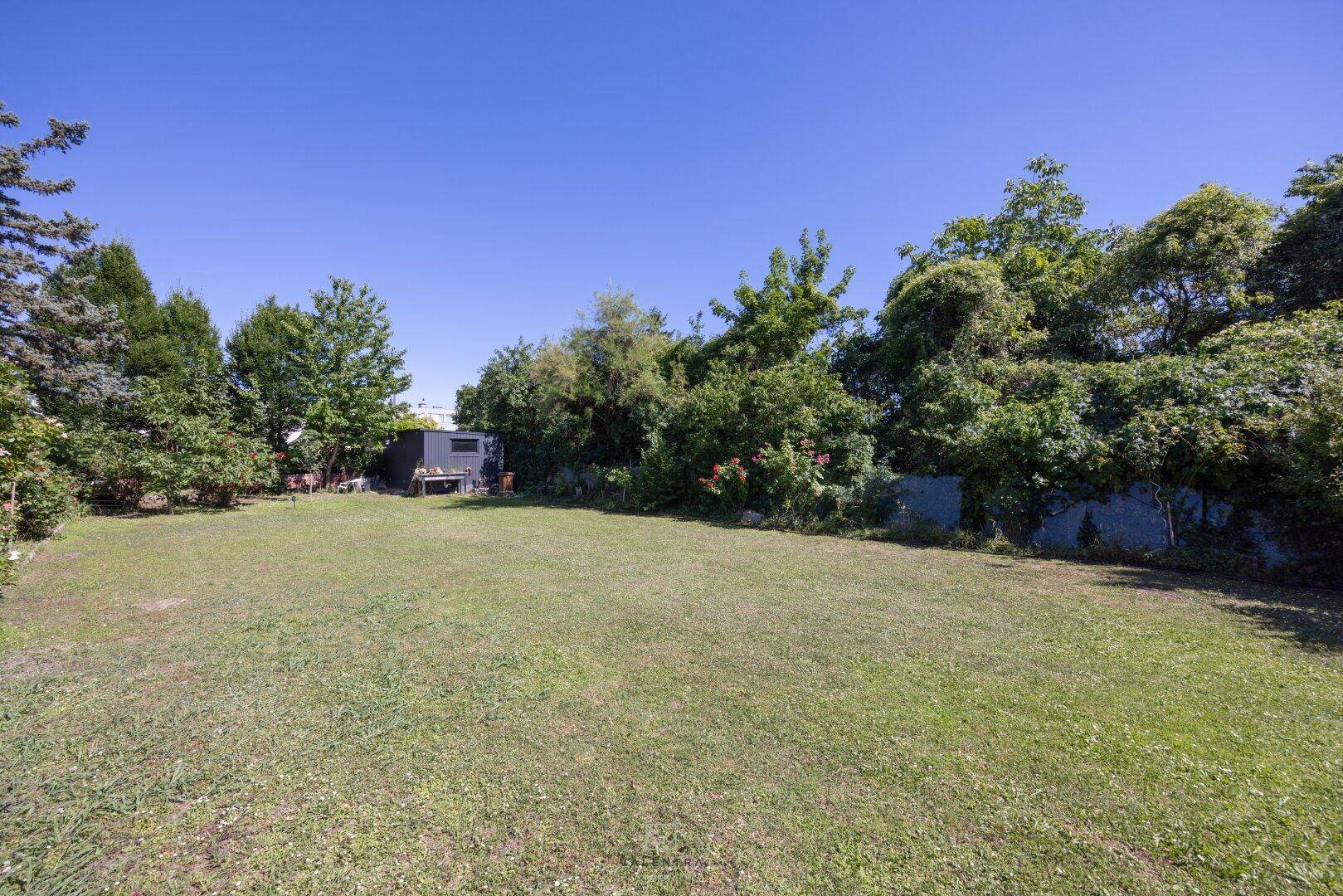Ausgedehnter Gartenbereich mit Rasen und altem Baumbestand, bietet viel Platz im Freien.