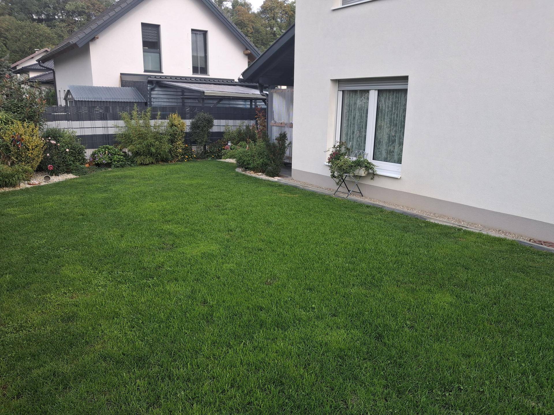 Gepflegter Rasenbereich im Garten neben dem Haus, ideal zum Entspannen und Spielen.